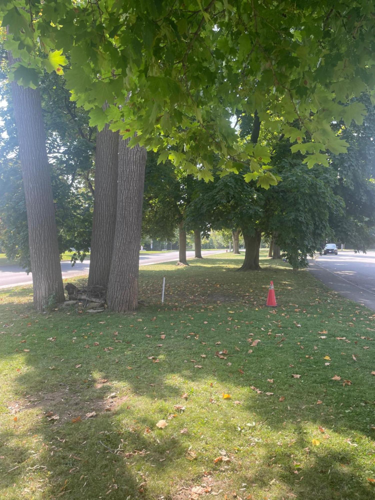 Peaceful Residence On Palmer Ave - Close To The Falls & Complimentary Breakfast Delivered Daily To The Rental Niagara Falls Extérieur photo